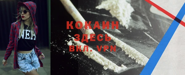 мяу мяу мука Аркадак
